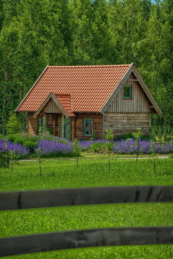 Zielone Lawki Villa รึน ภายนอก รูปภาพ